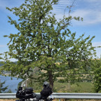 Moseltour